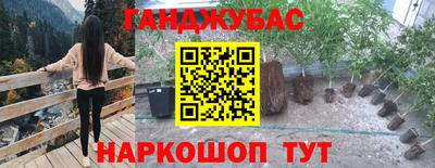 прущие грибы Мариинск